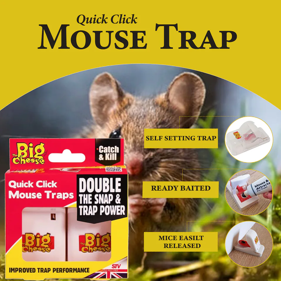 MOUSE TRAPS