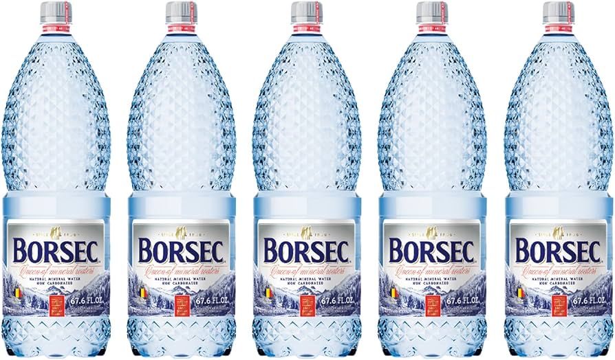 BORSEC