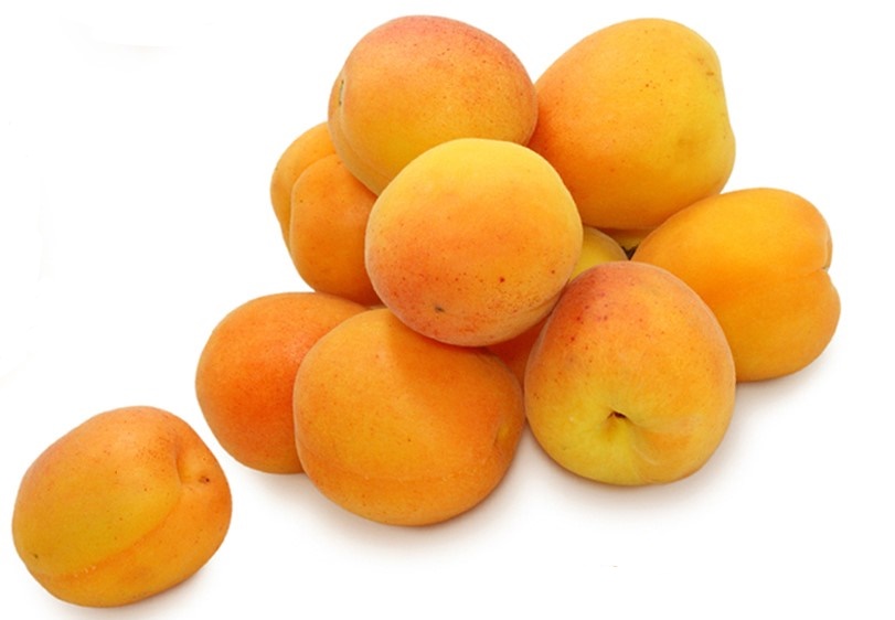 APRICOT LOOSE