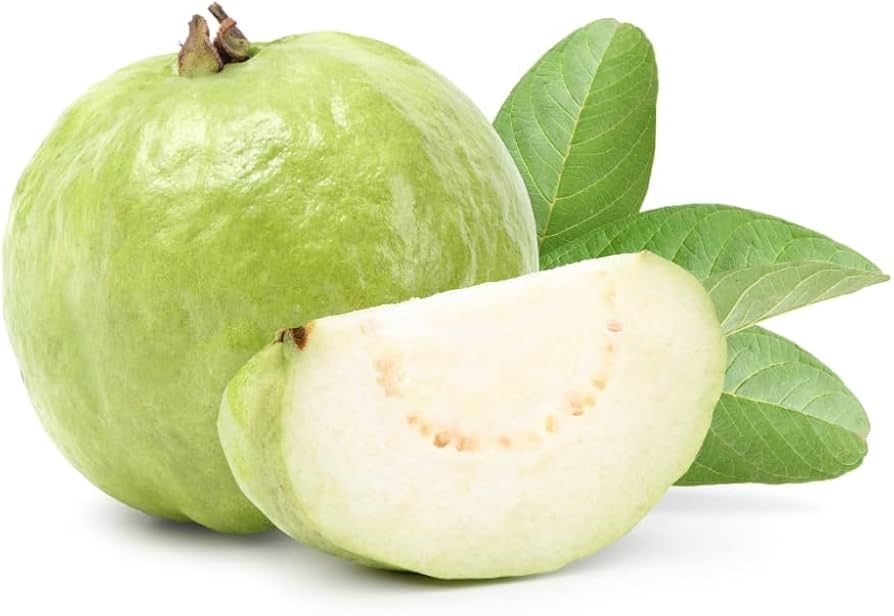 GUAVA - INDIA