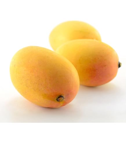 MANGOES - SMALL