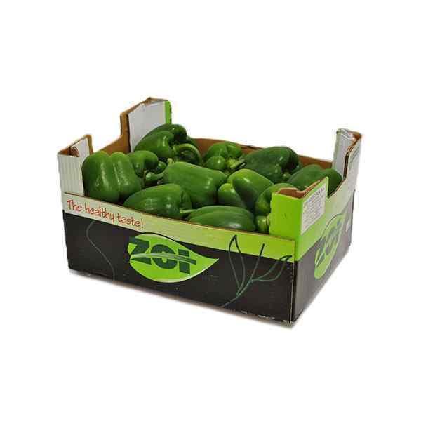 CAPSICUM - GREEN