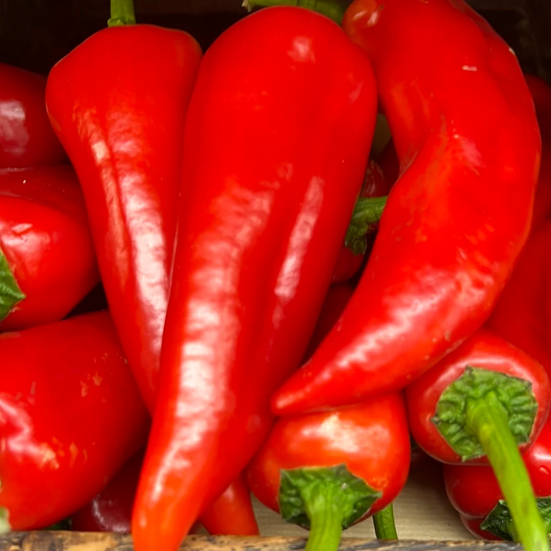 CHILLIES - RED SWEET PEPPER