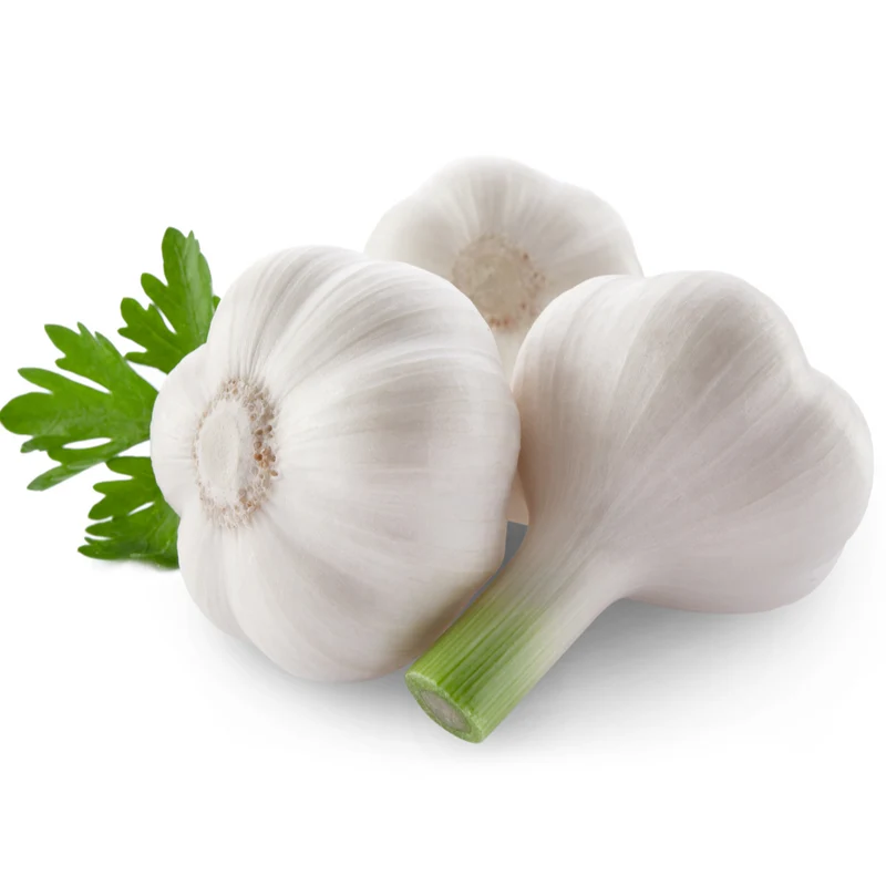GARLIC WET FRESH