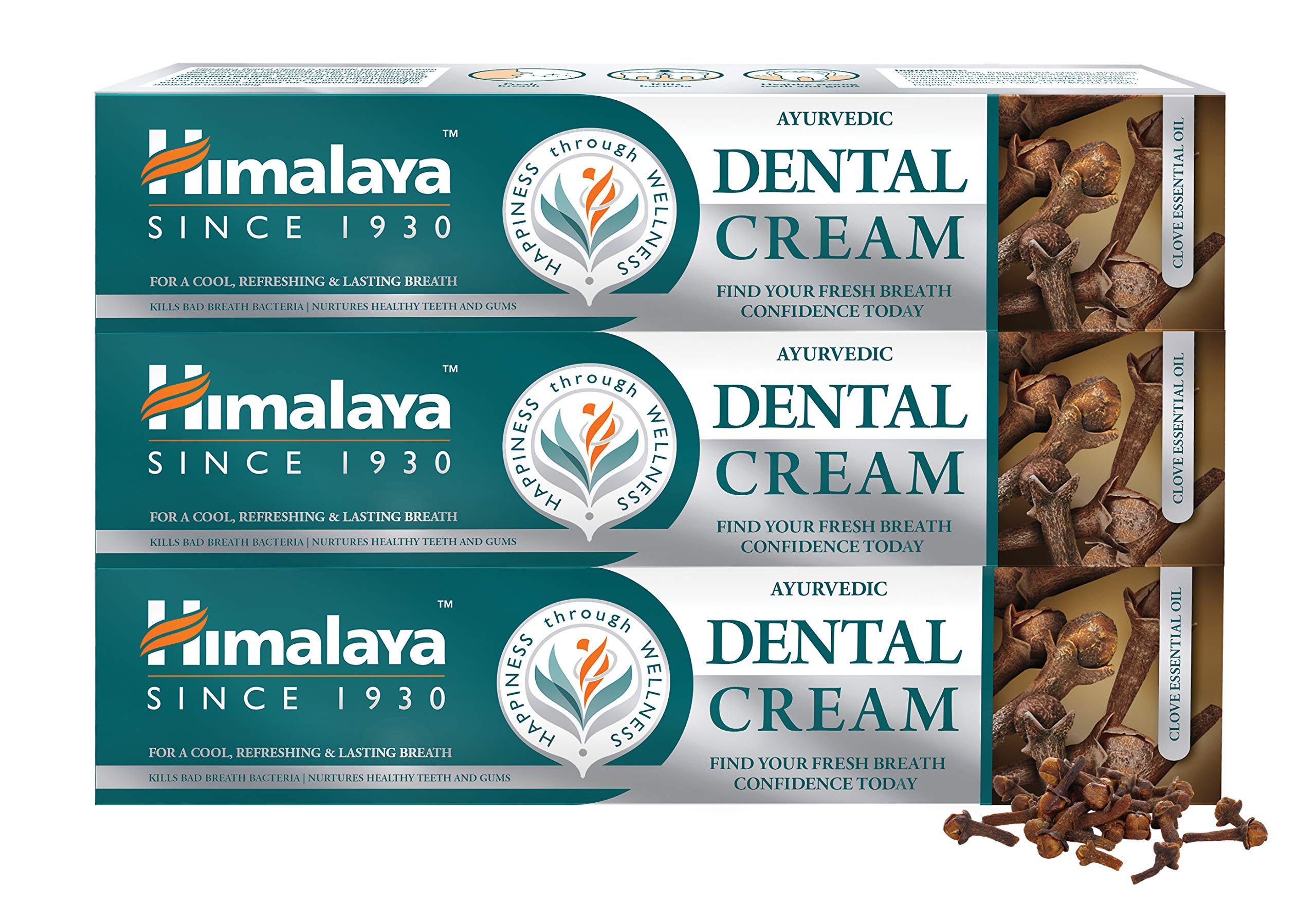 HIMALAYA DENTAL CREAM CLOVE TOOTHPASTE